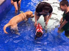 -上海崇明金茂凯悦酒店