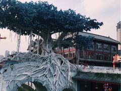 -眉山湿地公园(东坡区)
