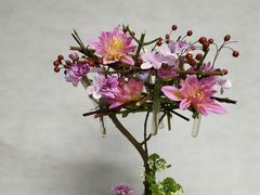 -荷兰布尔玛国际花艺学院
