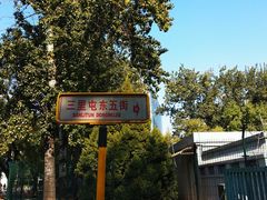 -三里屯东五街银杏大道