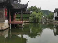 -鲁镇