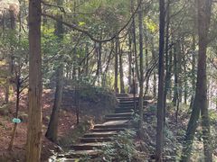 -千岛湖城中湖游船码头