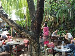 -Fern Forest Cafe