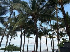 -富国岛翡翠湾 JW 万豪度假酒店