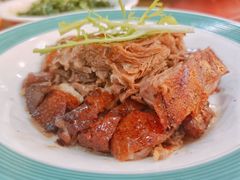 -椿记烧鹅(叠彩店)