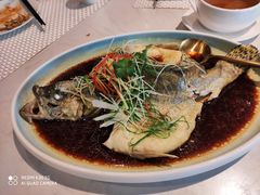 -喜粤8号(四海唐人街店)