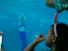 -常州海昌海洋探索馆