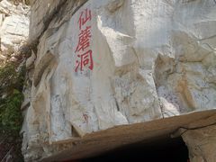 -仙蘑洞