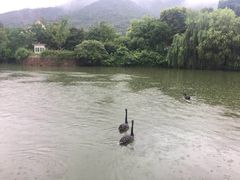 -无锡动物园·太湖欢乐园