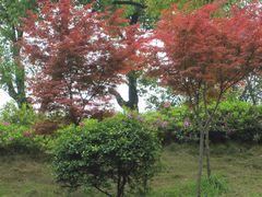 -石峰公园