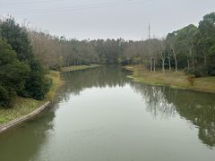 -上海海湾国家森林公园