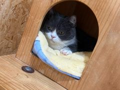 -和它·交个朋友·狗咖猫咖(爱琴海店)