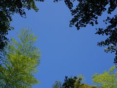 -西湖风景区十里琅珰-五云山