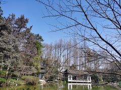 -杭州植物园