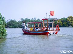 -大湾区中央湿地公园