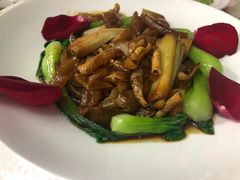 -西瓜小镇