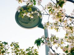 -九里河湿地公园