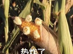 -翠亭酒家(山西南路店)