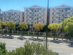 -新紫霞养生·影院足道·SPA(金山区店)