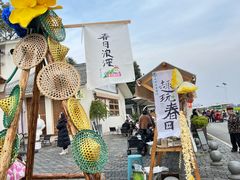 -桤木河湿地公园