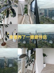 -HEYAN荷妍专业脱毛连锁机构
