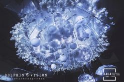 -浙江1+1主持人工作室