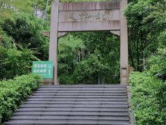 -紫金山山顶公园