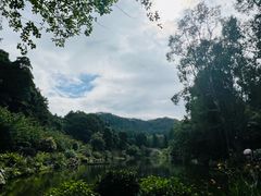 -深圳仙湖植物园