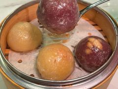 -金燕岛潮州酒楼