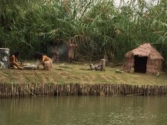 -泗洪洪泽湖湿地景区