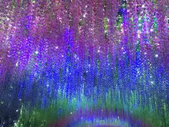 -济南方特东方神画