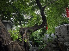 -荔湾湖公园