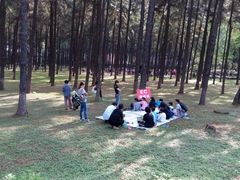 -名典咖啡(清新店)