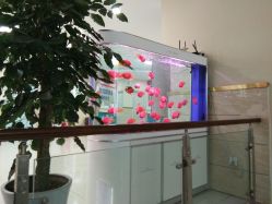 -成都军建医院·疤痕诊疗中心