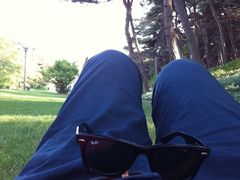 绿地放松-沈阳植物园