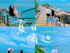 -广东惠东海龟国家级自然保护区