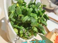 -浩爷羊蝎子火锅(望京店)