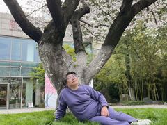 -阳澄湖费尔蒙酒店颐丰阁中餐厅(马鞍山西路店)