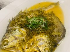 雪菜蒸野生大黄鱼-麟1929(外滩店)