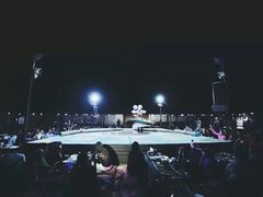 -迪拜沙漠冲沙