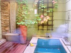 -春晖园度假酒店温泉