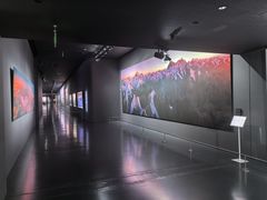 -罗红摄影艺术馆