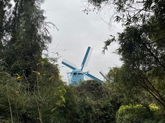 -华侨城湿地公园