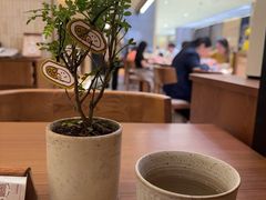 -CURRY YA 熟成咖哩專門店(深圳湾万象城店)