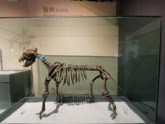 -大庆市博物馆