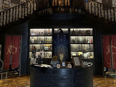 -雪灵魔法世界SHELLY’S TAROT(大良桂畔里店)