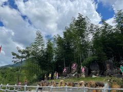 -千泷沟大瀑布旅游区