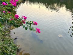 -东莞植物园