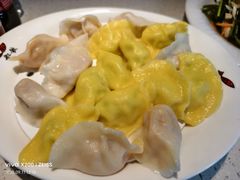 -船歌·鱼水饺青岛菜(金狮广场店)