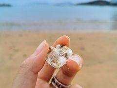 -青岛第二海水浴场